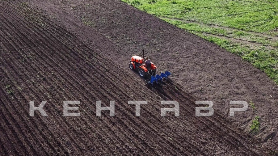 Минитрактор Кентавр Т-244 PRO (Toyokawa) Generation II (с ПСМ)